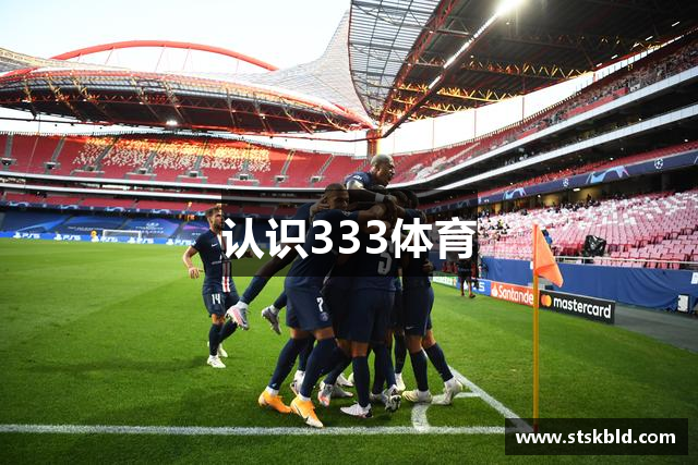 认识333体育